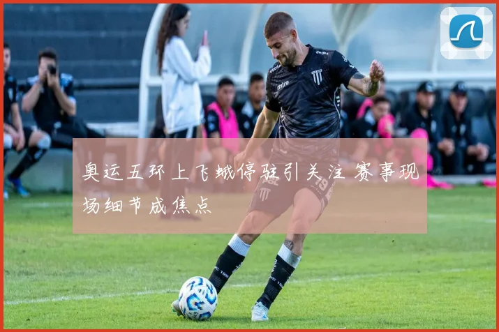 奥运五环上飞蛾停驻引关注 赛事现场细节成焦点